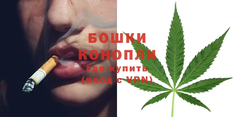 купить наркотики цена  Дегтярск  Бошки Шишки White Widow 